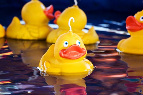 Floating Yellow plastic ducks game at fairground
